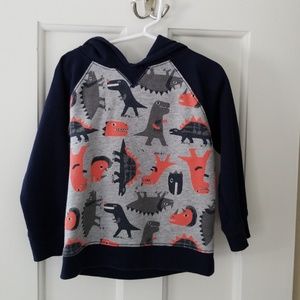 Dino hoodie